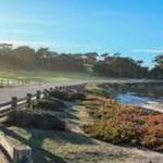 17 Mile Drive