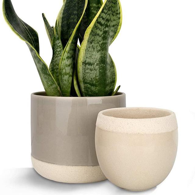 Ceramic Flower Plant Pots - 6.5 Inch Pack 2 Indoor Planters, Plant Containers with Beige and Cracked Detailing (Grey and Cream)