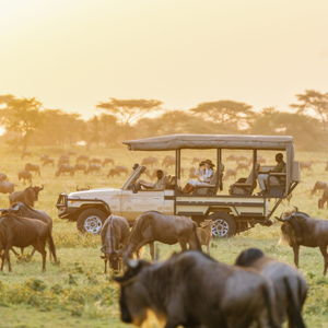 SAFARI! Maasai Mara & Serengeti Game Drives