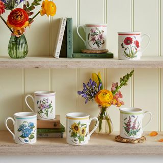 Botanic Garden Meadow Assorted Breakfast Mug, Set of 6