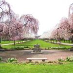 Fairmount Park