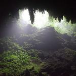 Cavernas de Camuy