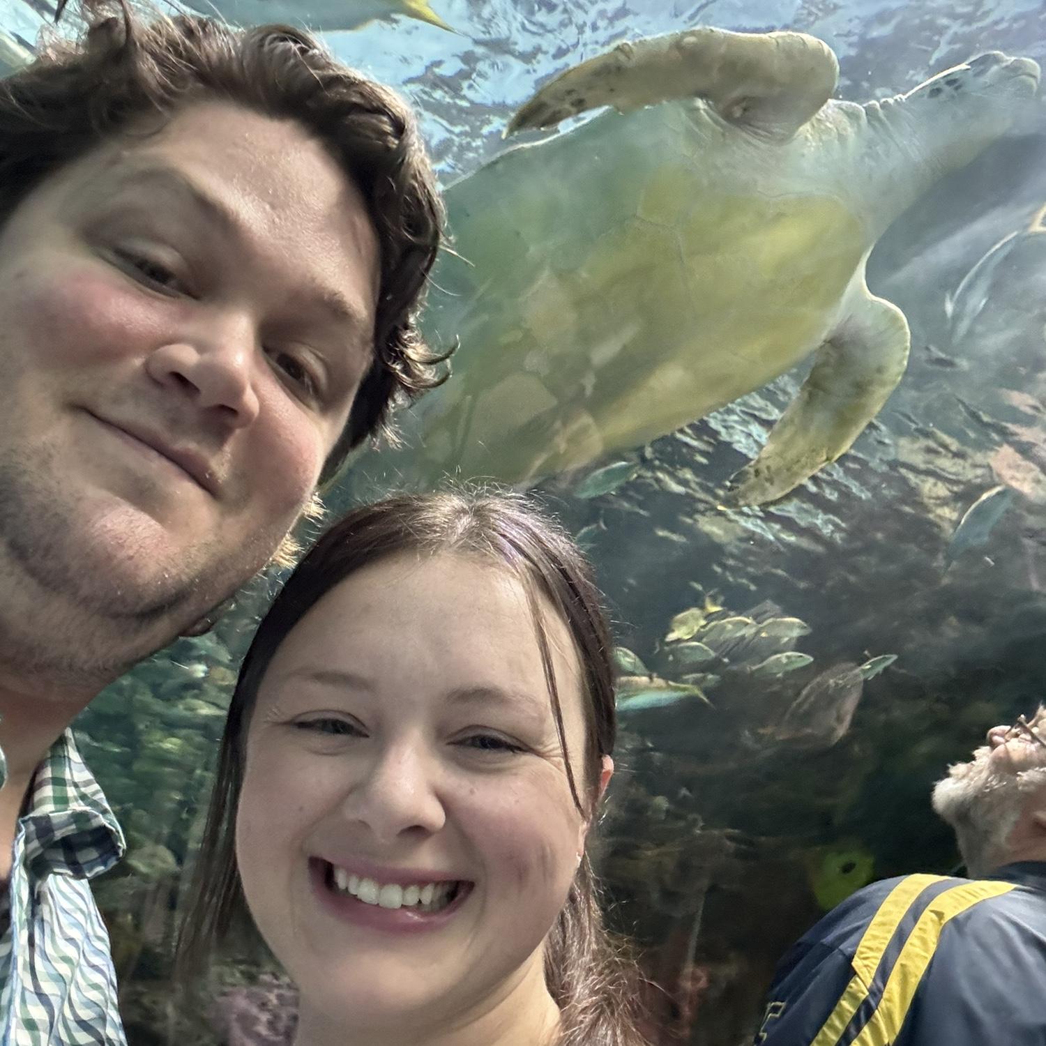 Hanging with the turtles at Ripley’s Aquarium in Toronto