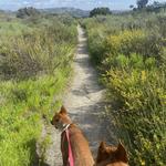 Mission Trails Clairemont Mesa Trailhead