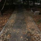Ghosts of New Bern