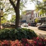 Downtown Saugatuck