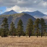 Buffalo Park