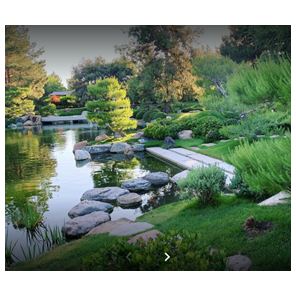 Japanese Friendship Garden where we got engaged!