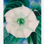 Georgia O'Keeffe Museum
