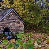 Bowman's Hill Wildflower Preserve