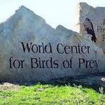 World Center For Birds of Prey