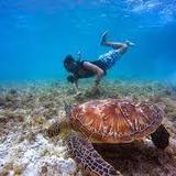 Snorkeling and Kayak Tours