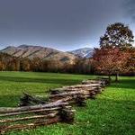 Cades Cove Loop Road