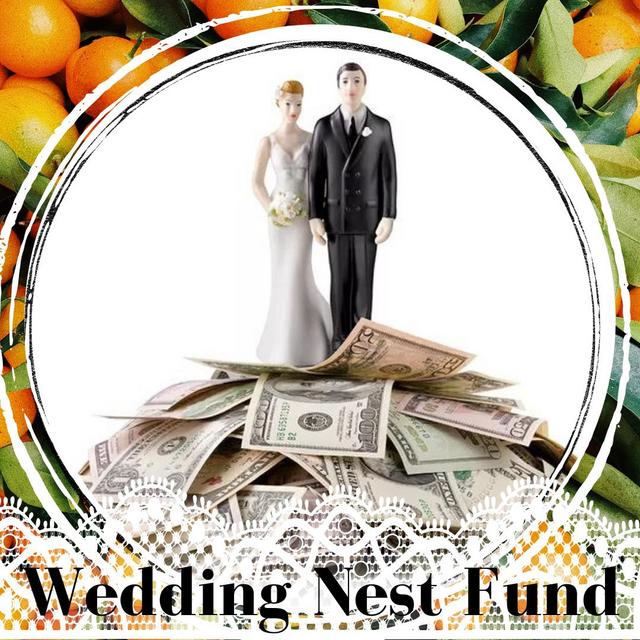 Wedding Nest Fund