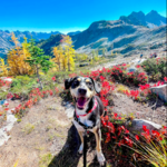 National Parks + Other Hiking