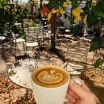 Agora Downtown Coffee Shop & Roastery