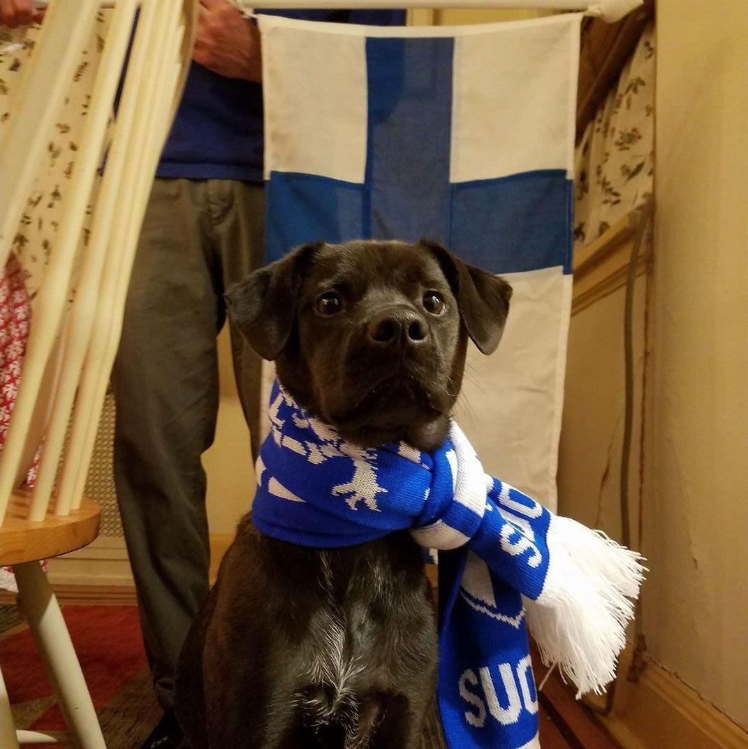 Bach celebrating his Finnish pride