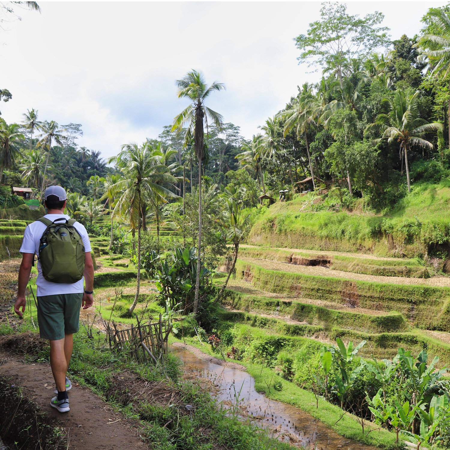 Bali 2019