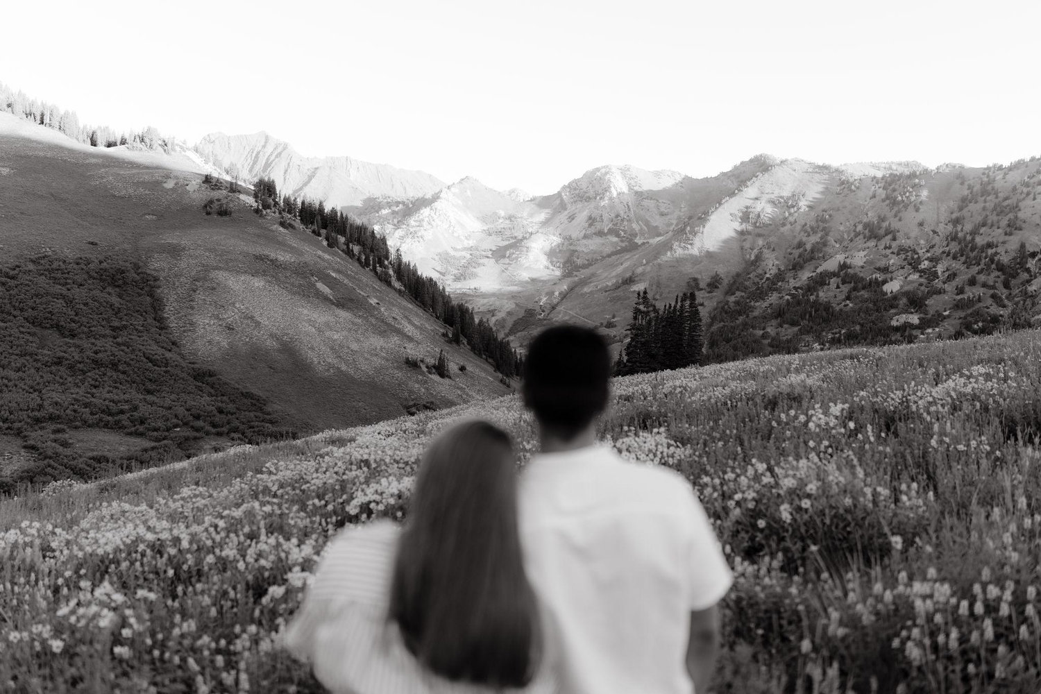 The Wedding Website of David Botros and Micaela Besser