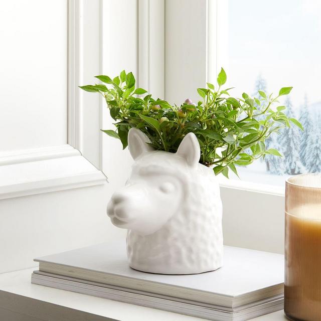Llama Head Planter, White