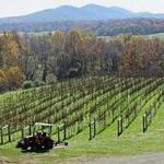 Delaplane Cellars