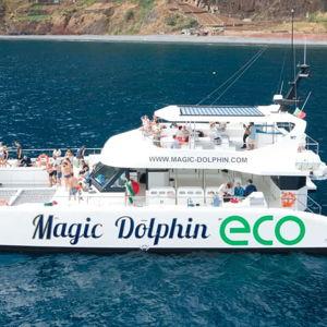 Madeira Dolphin and Whale Watching Tour
