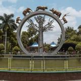 Nehru Zoological Park