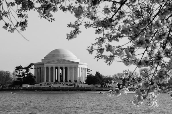 The Wedding Website of Sarah Millender and Noah Monastersky