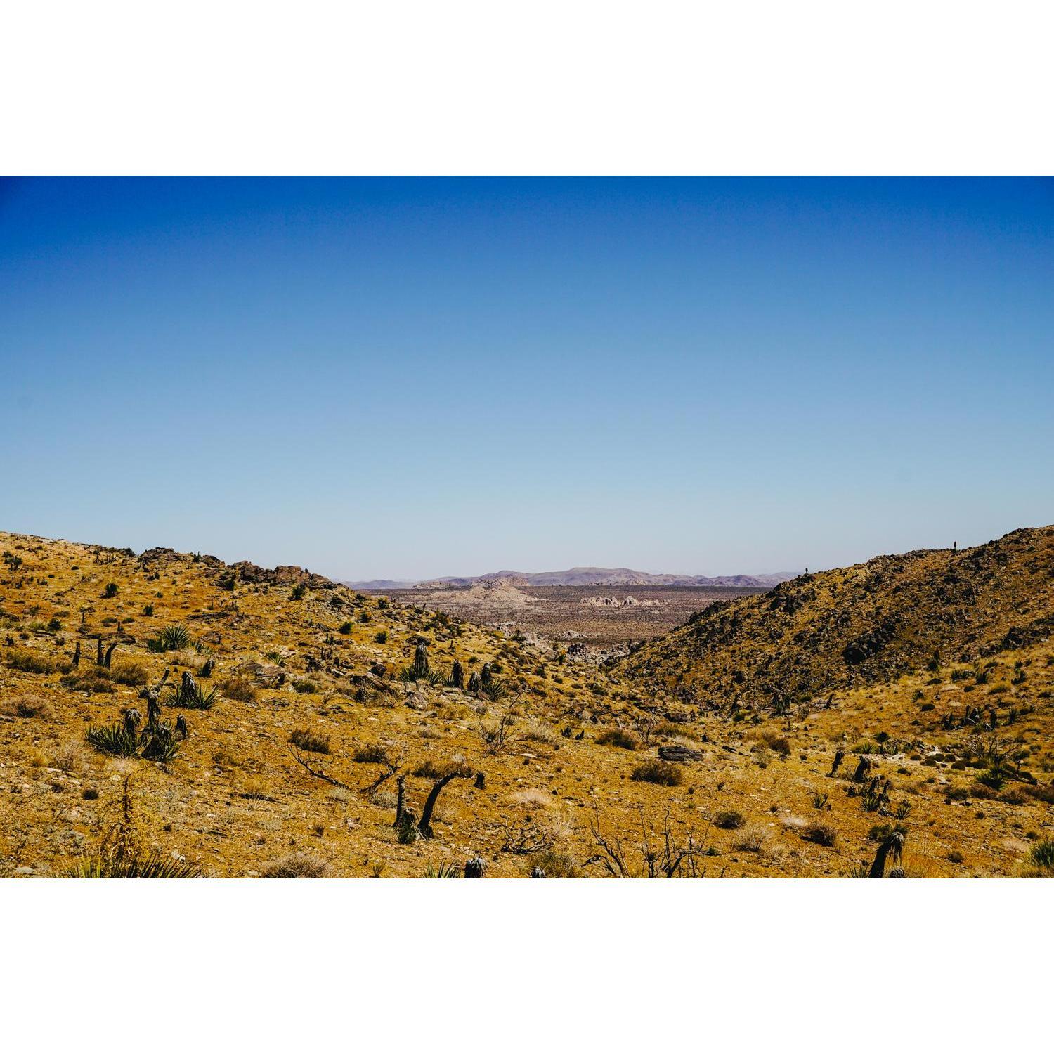 Doing a rare thing - hiking in JT.