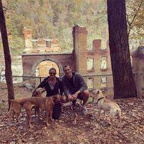 One of our weekly local hiking adventures with the pups in tow