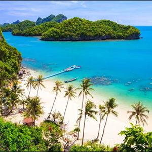 Honeymoon!