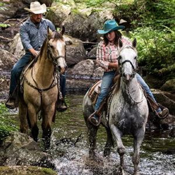 Horseback Riding on Honeymoon
