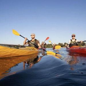 Kayak