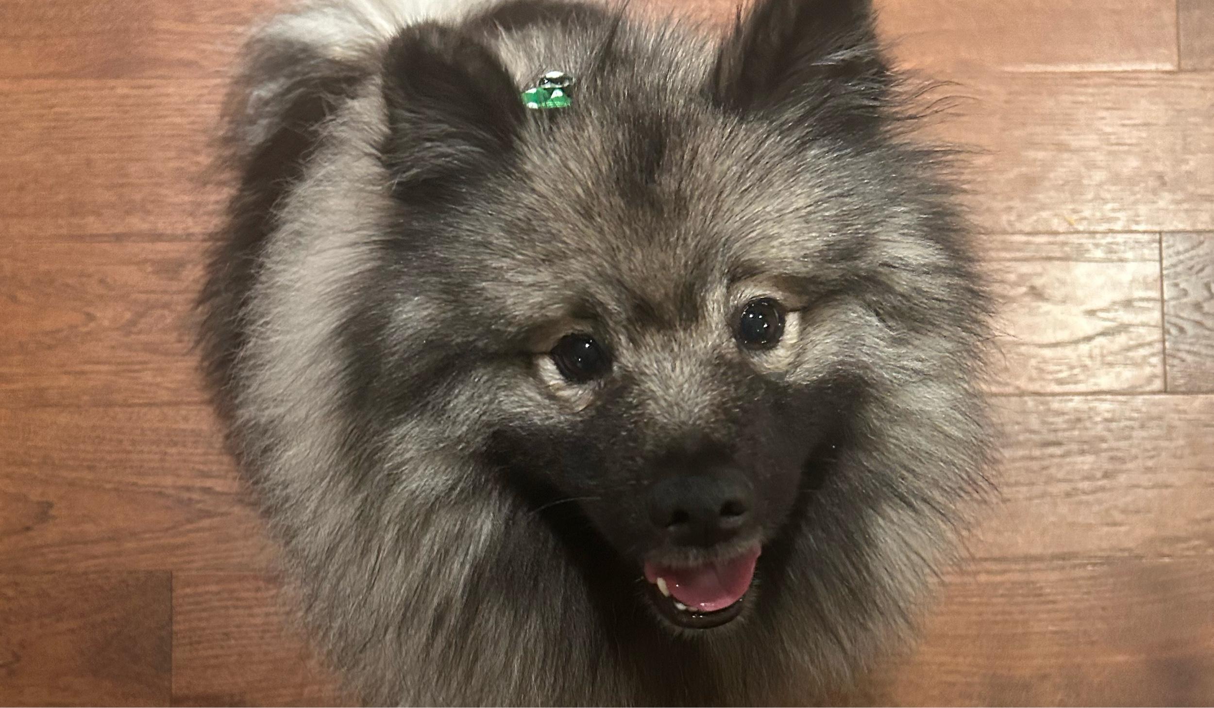 The Wedding Website of Michelle Holloway and Martin Mee