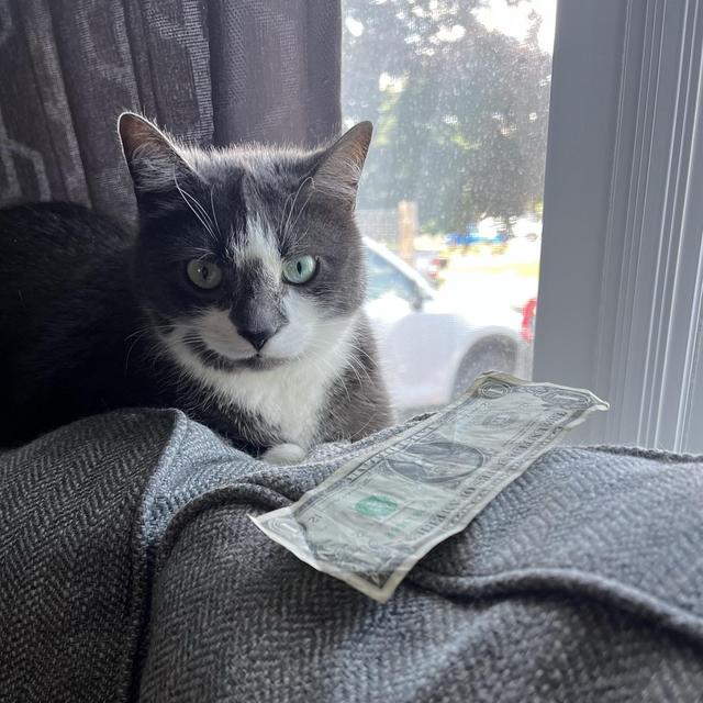 Gypsum’s Retirement Fund