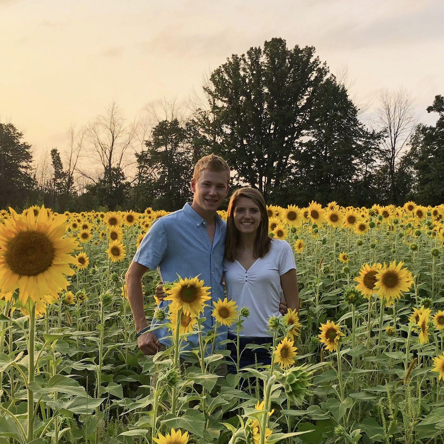 Sunflower Patch 2018