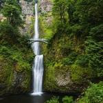 Multnomah Falls viewpoint and/or hike