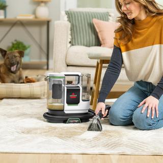 Little Green ProHeat Pet Portable Carpet Cleaner
