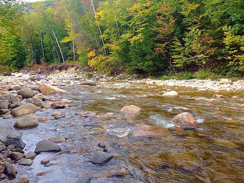 The Wedding Website of Mallory Hestand and Alex Aronson