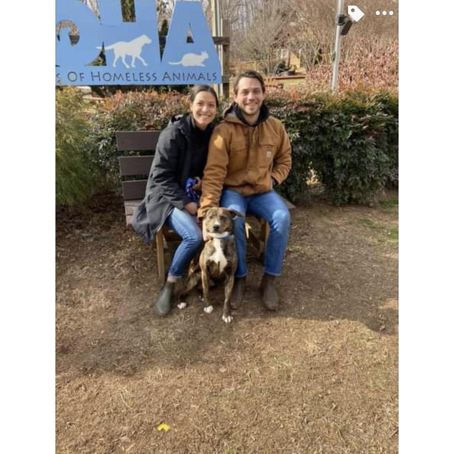 Hobbes' adoption day!