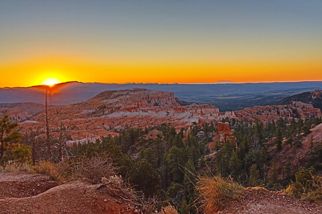 The Wedding Website of Thomas Meehan and Elizabeth Wagner