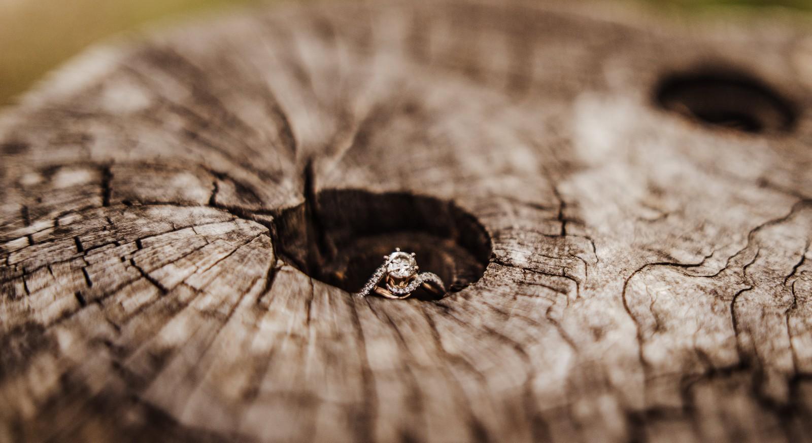 The Wedding Website of Faith Patterson and Christopher Starnes