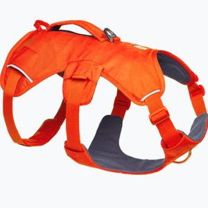 Web Master™ Dog Harness with Handle | Ruffwear