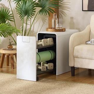 Sidekick Sport Storage Unit