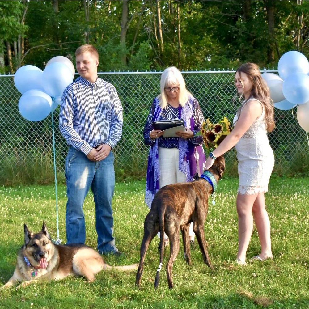 Jake & Audrey getting married at the doggy daycare with their babies present.