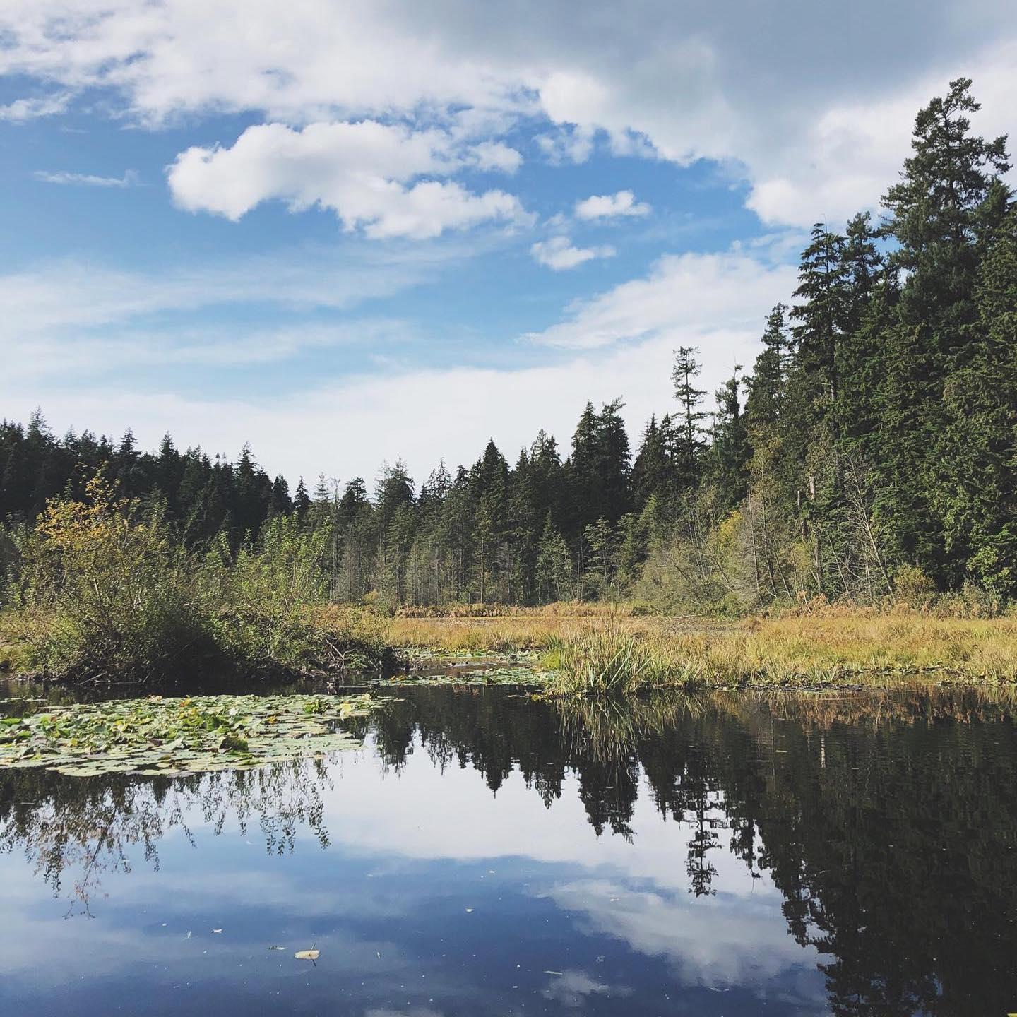 Vancouver with the Tooleys