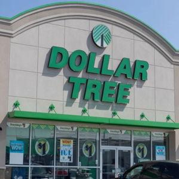 Dollar Tree Toy Day