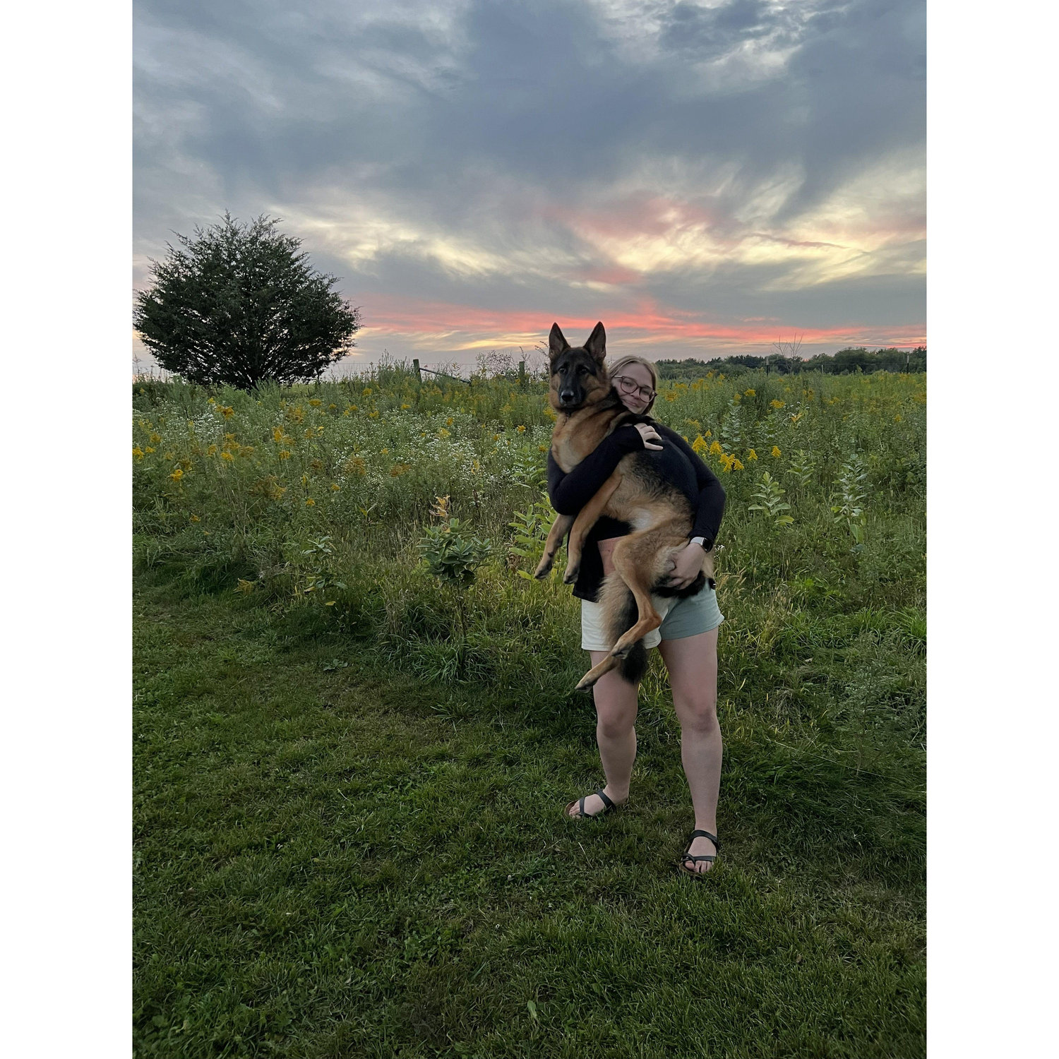 2022 - J and T's favorite dog park. Visited at least 4 times a week. There's really no comparison to prairie moraine park.