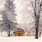 Noonan Park