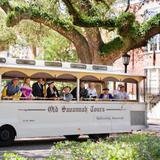 Old Savannah Tours - Night trolley tour